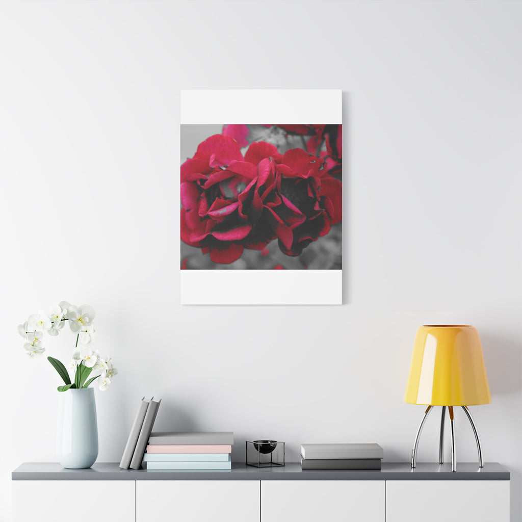 Red Rose Close-Up Matte Canvas Wall Art – Romantic Floral Stretched Canvas