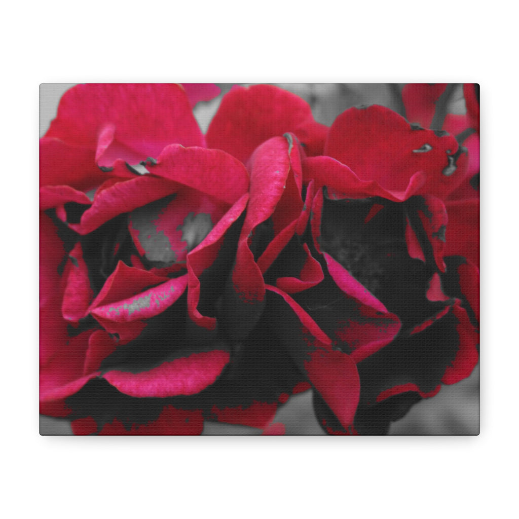 Red Rose Close-Up Matte Canvas Wall Art – Romantic Floral Stretched Canvas