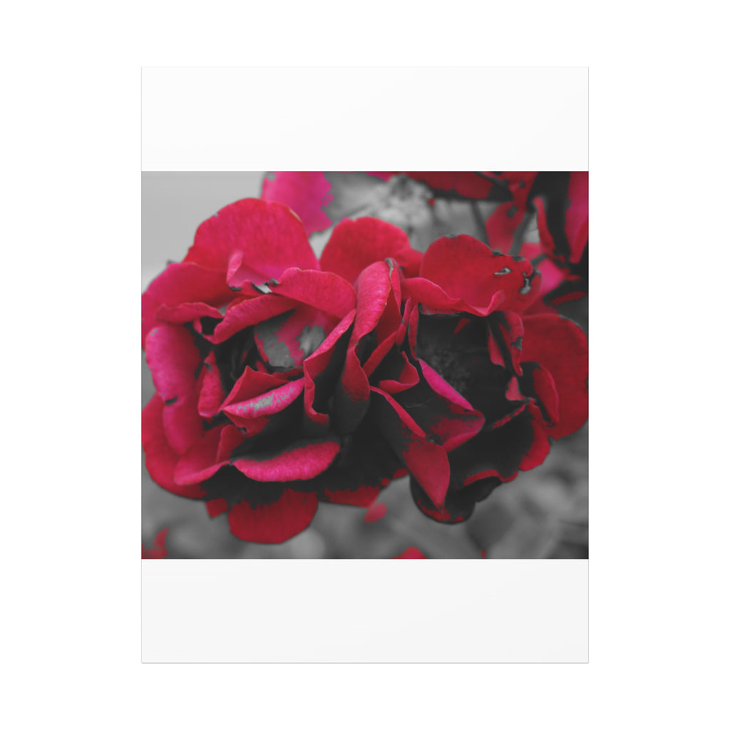 Red Rose Close-Up Matte Canvas Wall Art – Romantic Floral Stretched Canvas