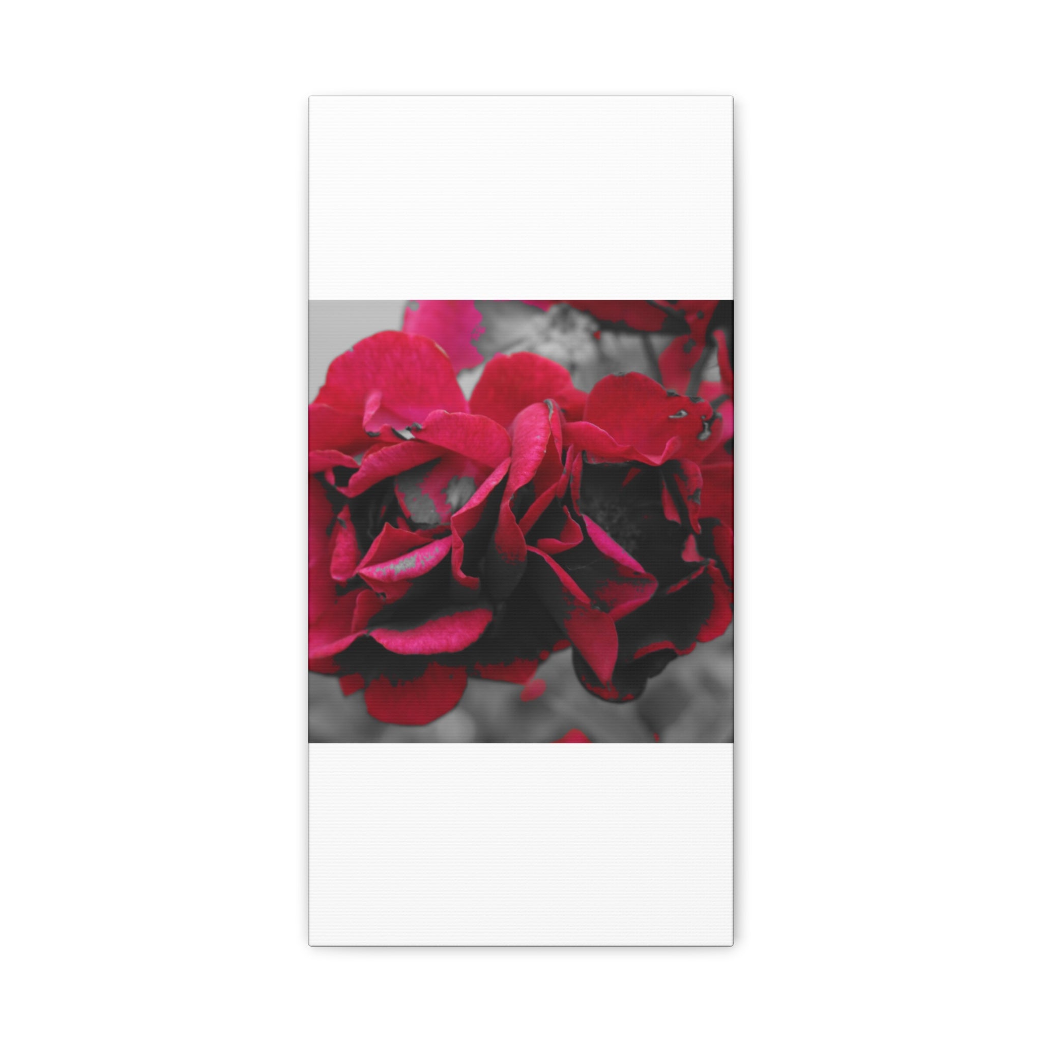 Red Rose Close-Up Matte Canvas Wall Art – Romantic Floral Stretched Canvas