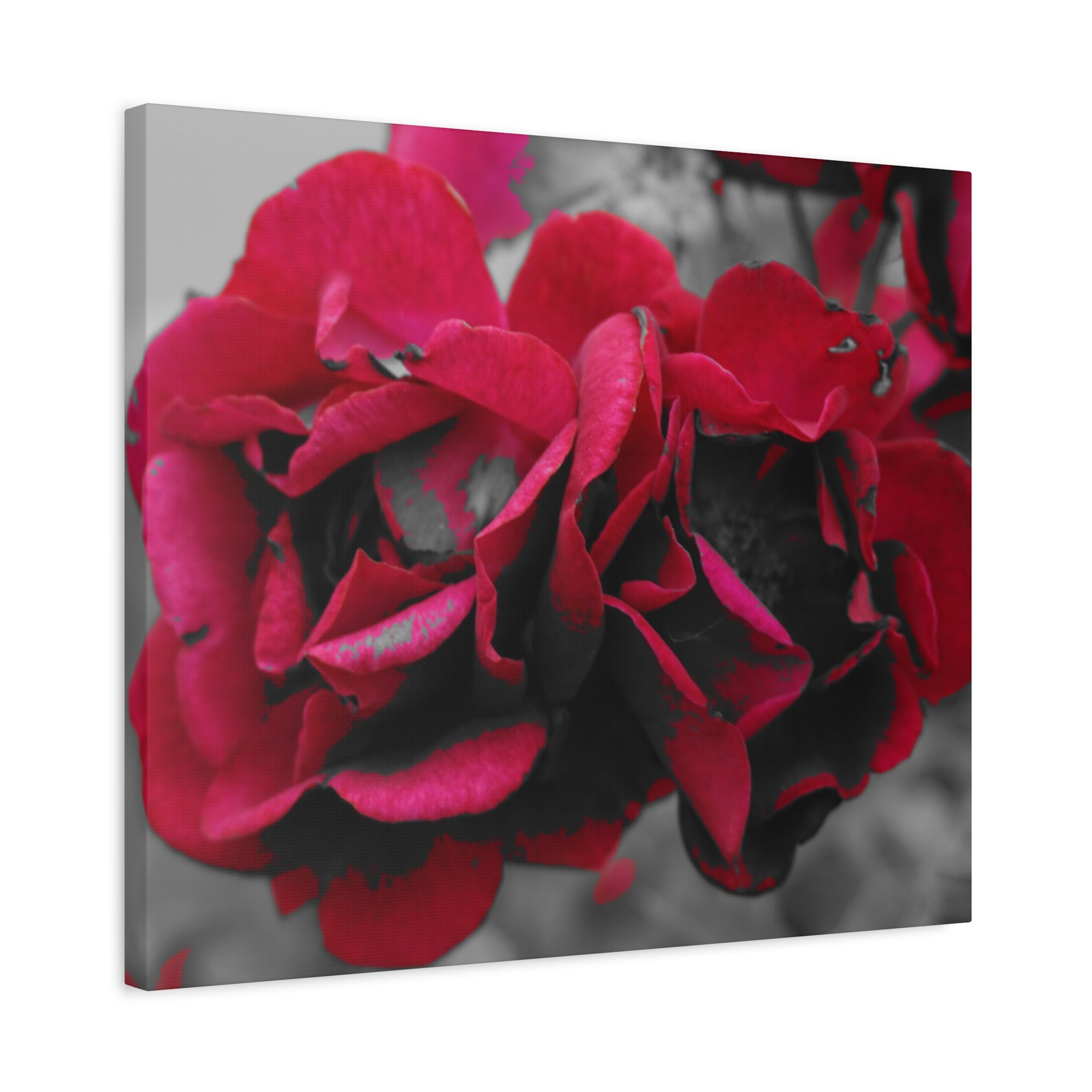 Red Rose Close-Up Matte Canvas Wall Art – Romantic Floral Stretched Canvas