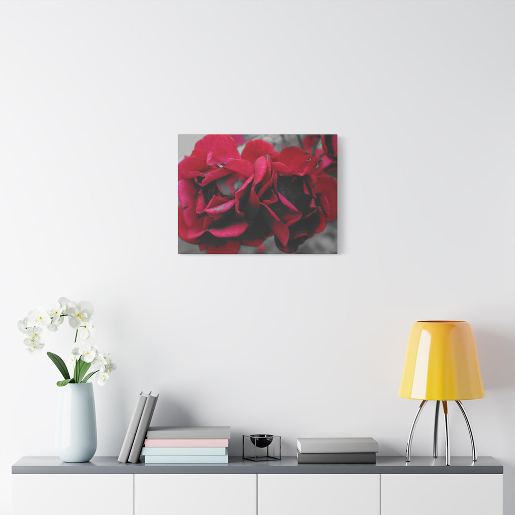 Red Rose Close-Up Matte Canvas Wall Art – Romantic Floral Stretched Canvas