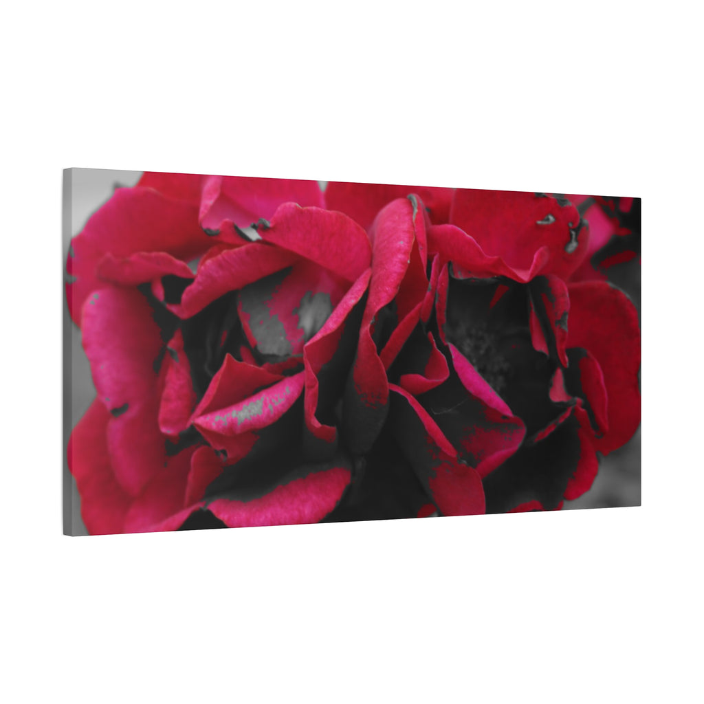 Red Rose Close-Up Matte Canvas Wall Art – Romantic Floral Stretched Canvas