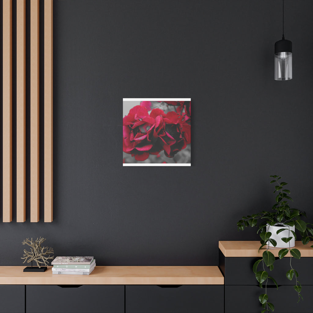 Red Rose Close-Up Matte Canvas Wall Art – Romantic Floral Stretched Canvas