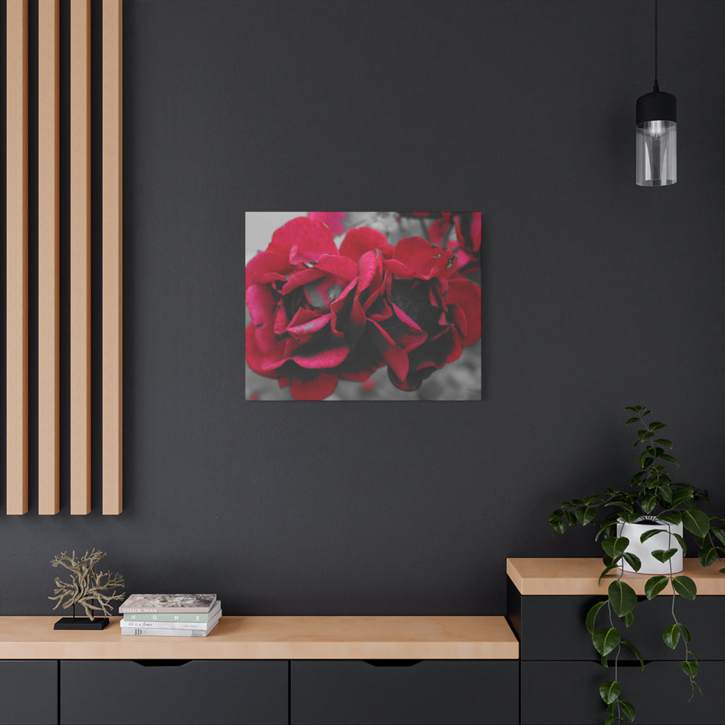 Red Rose Close-Up Matte Canvas Wall Art – Romantic Floral Stretched Canvas