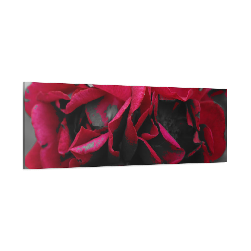 Red Rose Close-Up Matte Canvas Wall Art – Romantic Floral Stretched Canvas