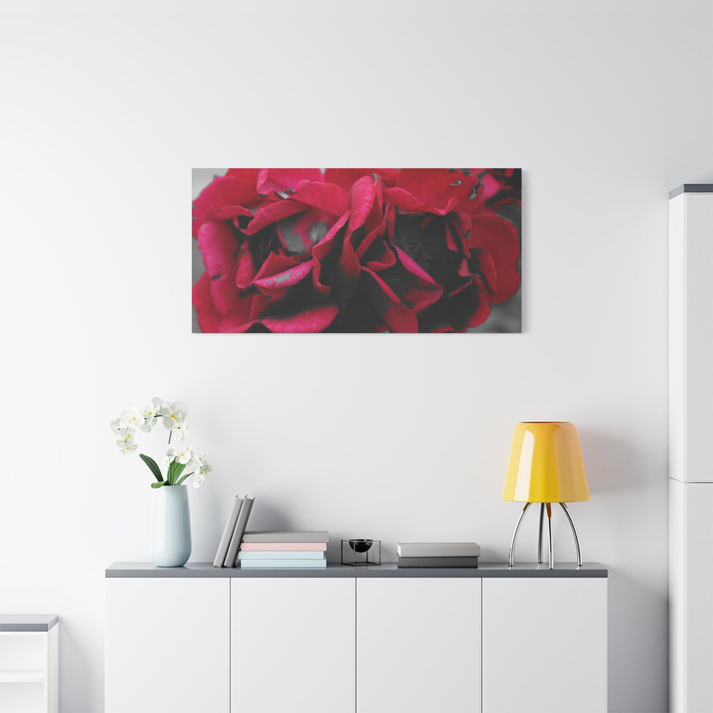 Red Rose Close-Up Matte Canvas Wall Art – Romantic Floral Stretched Canvas