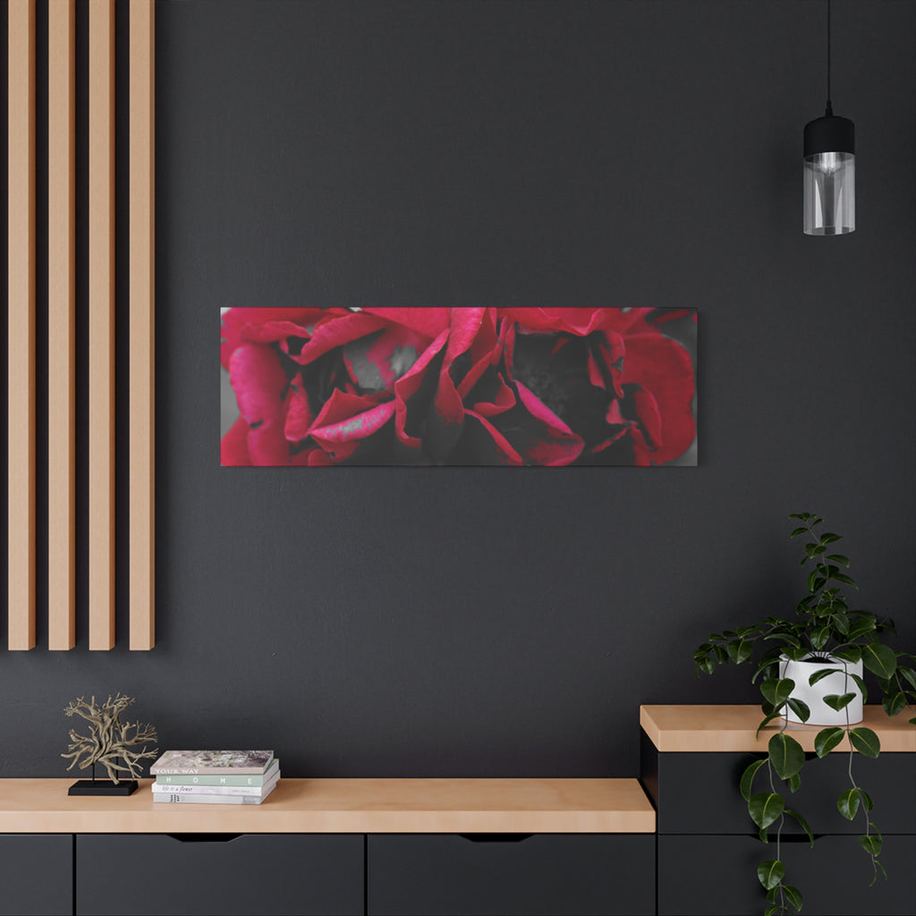 Red Rose Close-Up Matte Canvas Wall Art – Romantic Floral Stretched Canvas