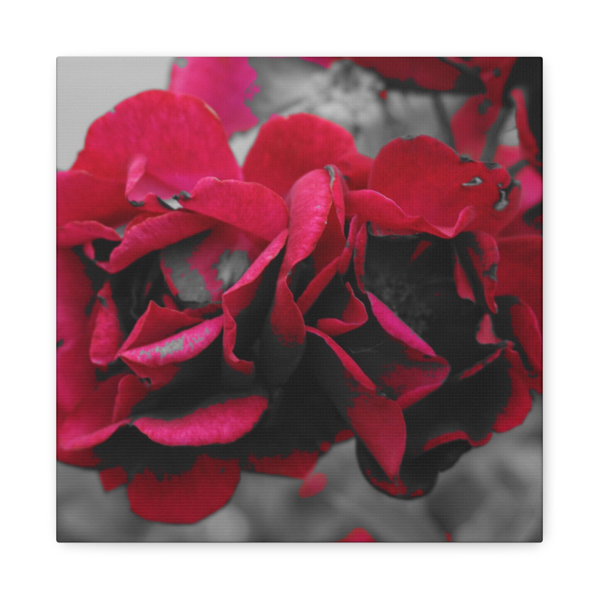 Red Rose Close-Up Matte Canvas Wall Art – Romantic Floral Stretched Canvas