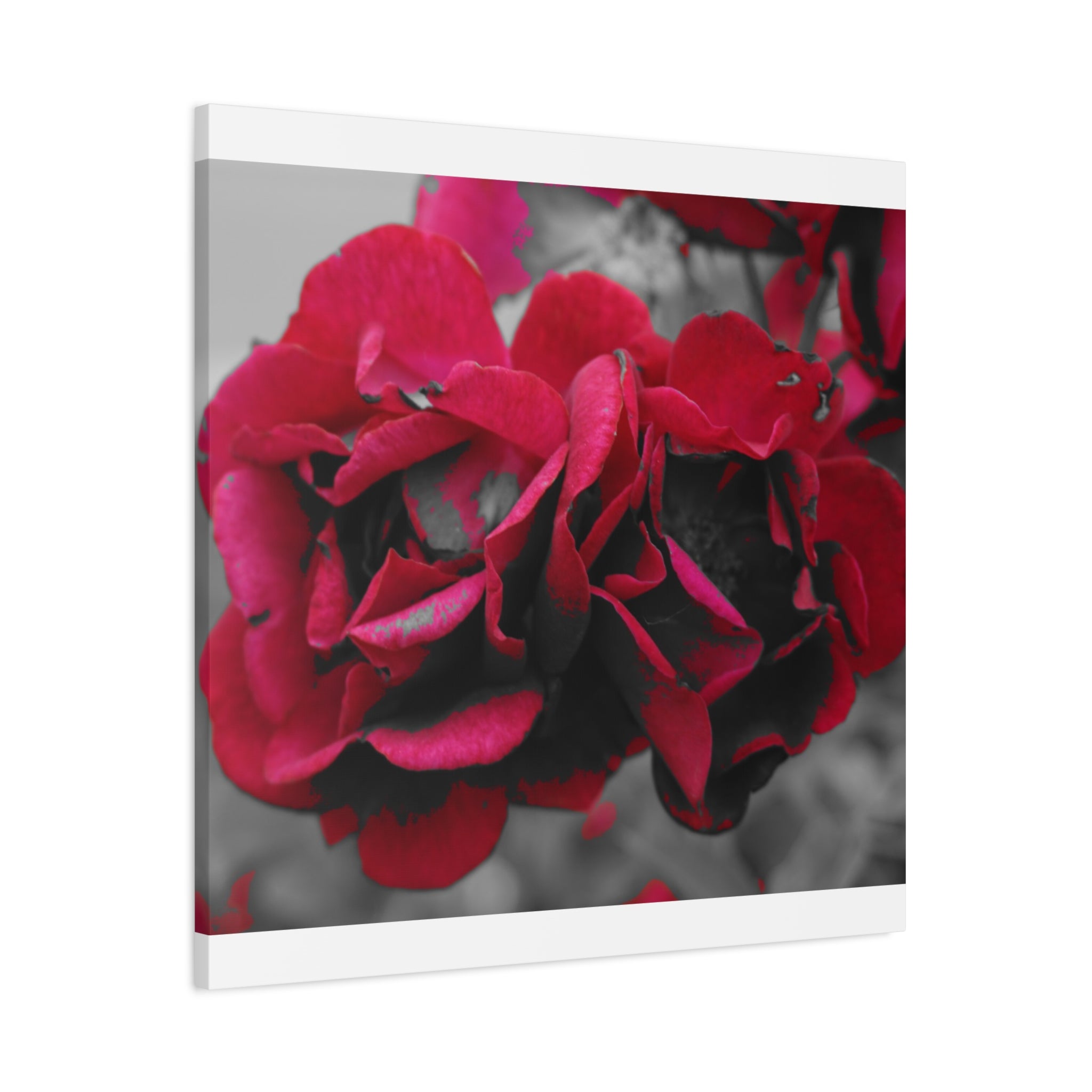 Red Rose Close-Up Matte Canvas Wall Art – Romantic Floral Stretched Canvas