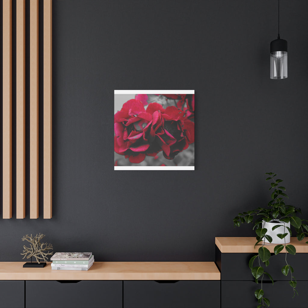 Red Rose Close-Up Matte Canvas Wall Art – Romantic Floral Stretched Canvas
