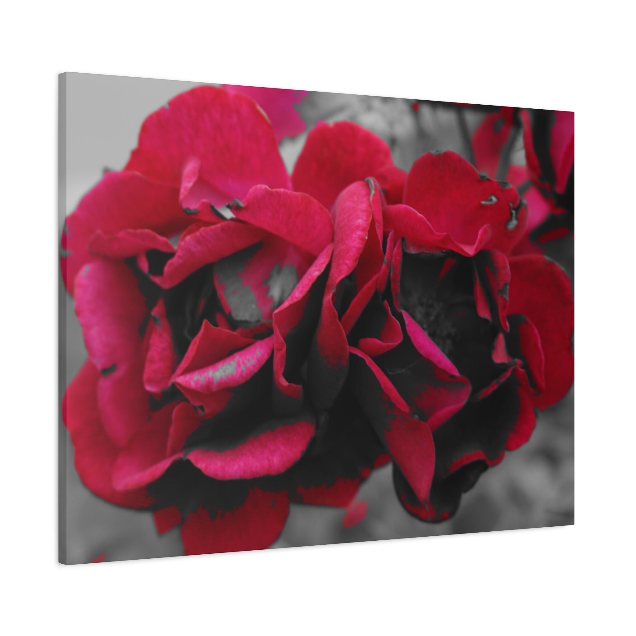 Red Rose Close-Up Matte Canvas Wall Art – Romantic Floral Stretched Canvas