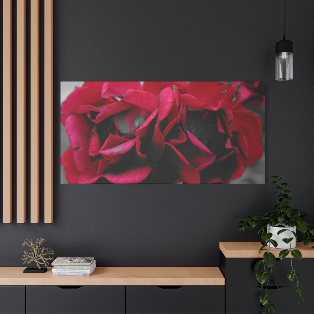 Red Rose Close-Up Matte Canvas Wall Art – Romantic Floral Stretched Canvas
