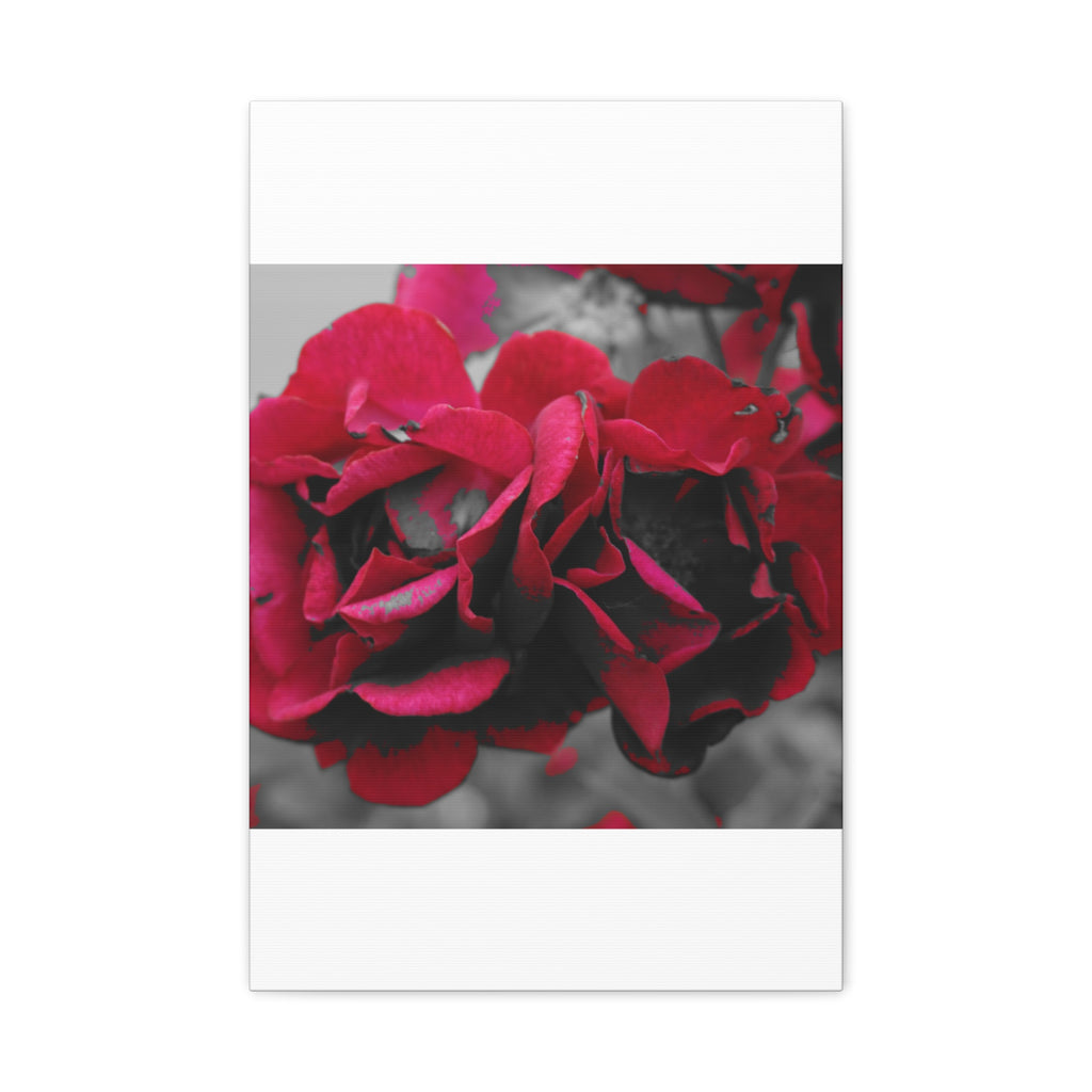 Red Rose Close-Up Matte Canvas Wall Art – Romantic Floral Stretched Canvas