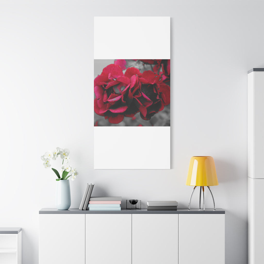 Red Rose Close-Up Matte Canvas Wall Art – Romantic Floral Stretched Canvas
