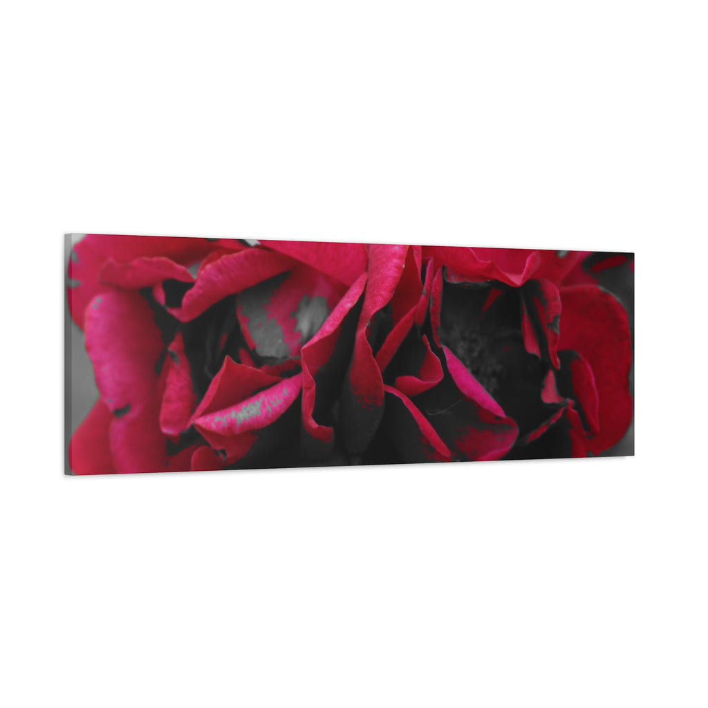 Red Rose Close-Up Matte Canvas Wall Art – Romantic Floral Stretched Canvas