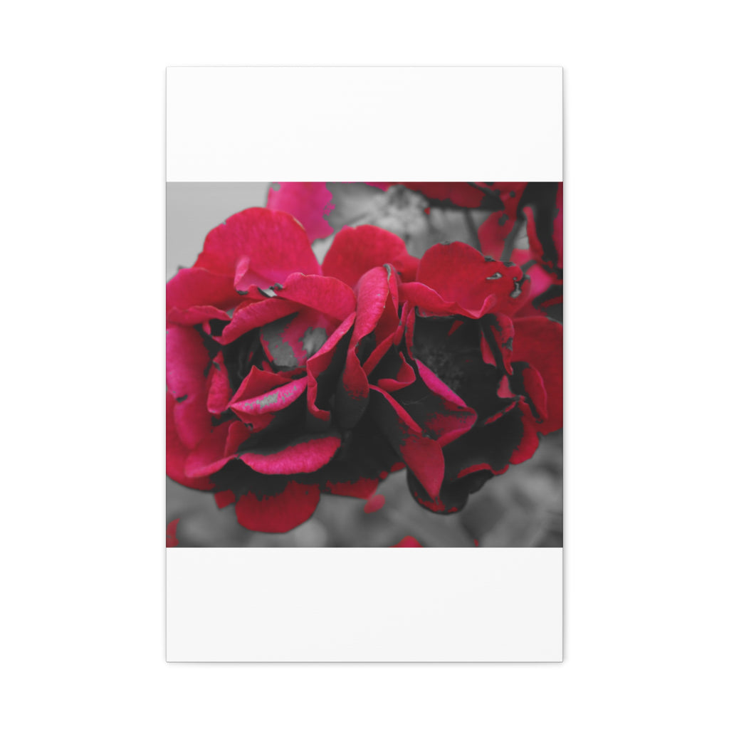 Red Rose Close-Up Matte Canvas Wall Art – Romantic Floral Stretched Canvas