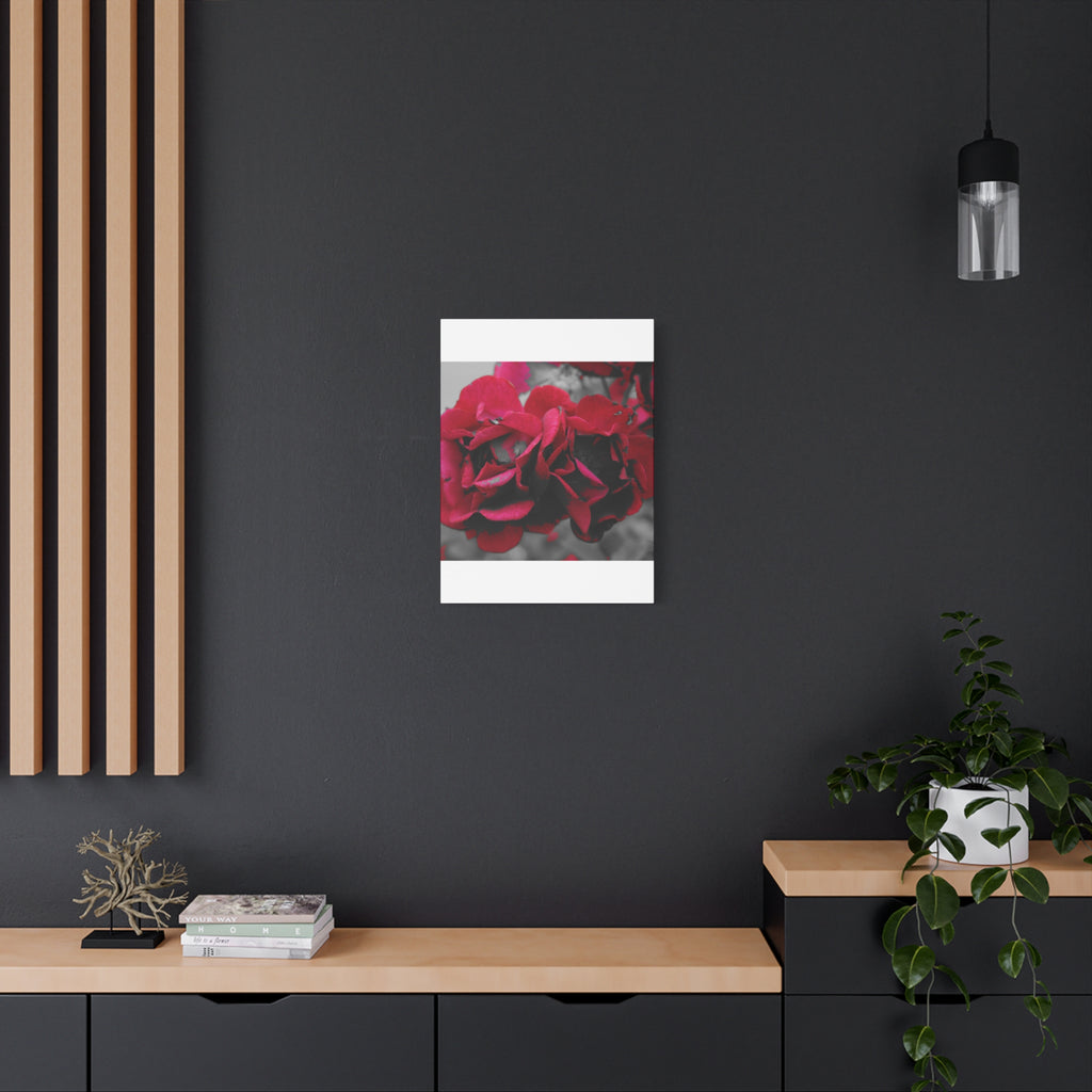 Red Rose Close-Up Matte Canvas Wall Art – Romantic Floral Stretched Canvas