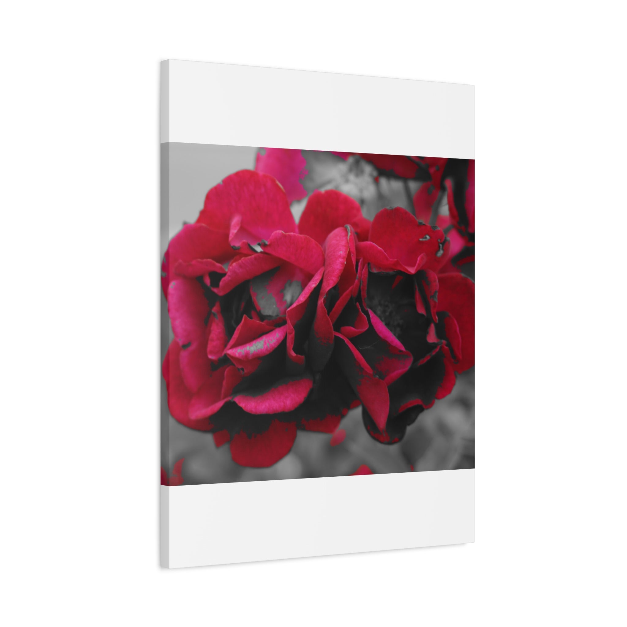 Red Rose Close-Up Matte Canvas Wall Art – Romantic Floral Stretched Canvas