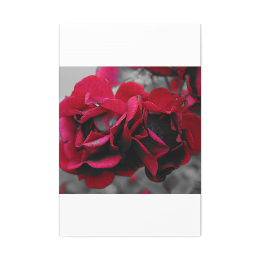 Red Rose Close-Up Matte Canvas Wall Art – Romantic Floral Stretched Canvas
