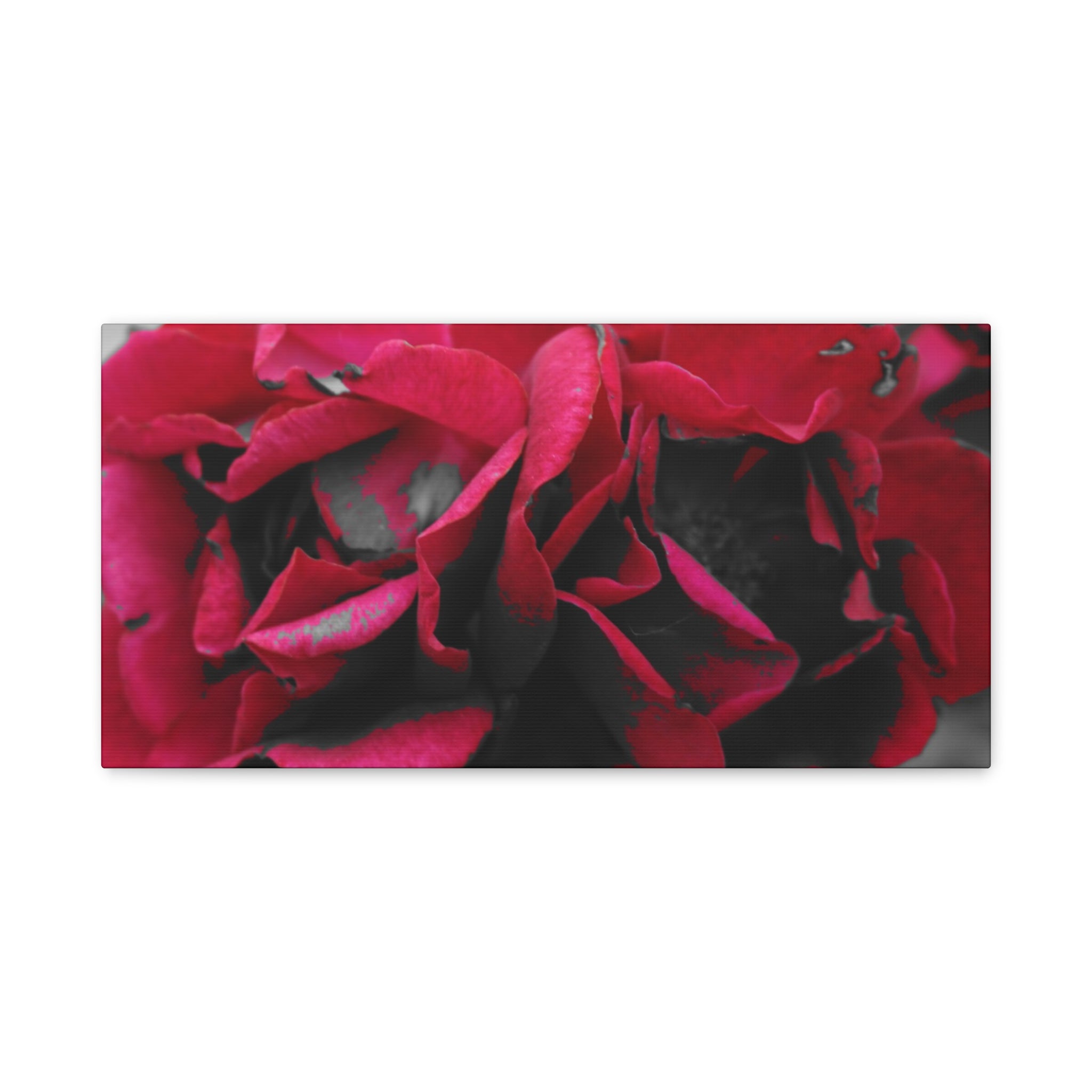 Red Rose Close-Up Matte Canvas Wall Art – Romantic Floral Stretched Canvas