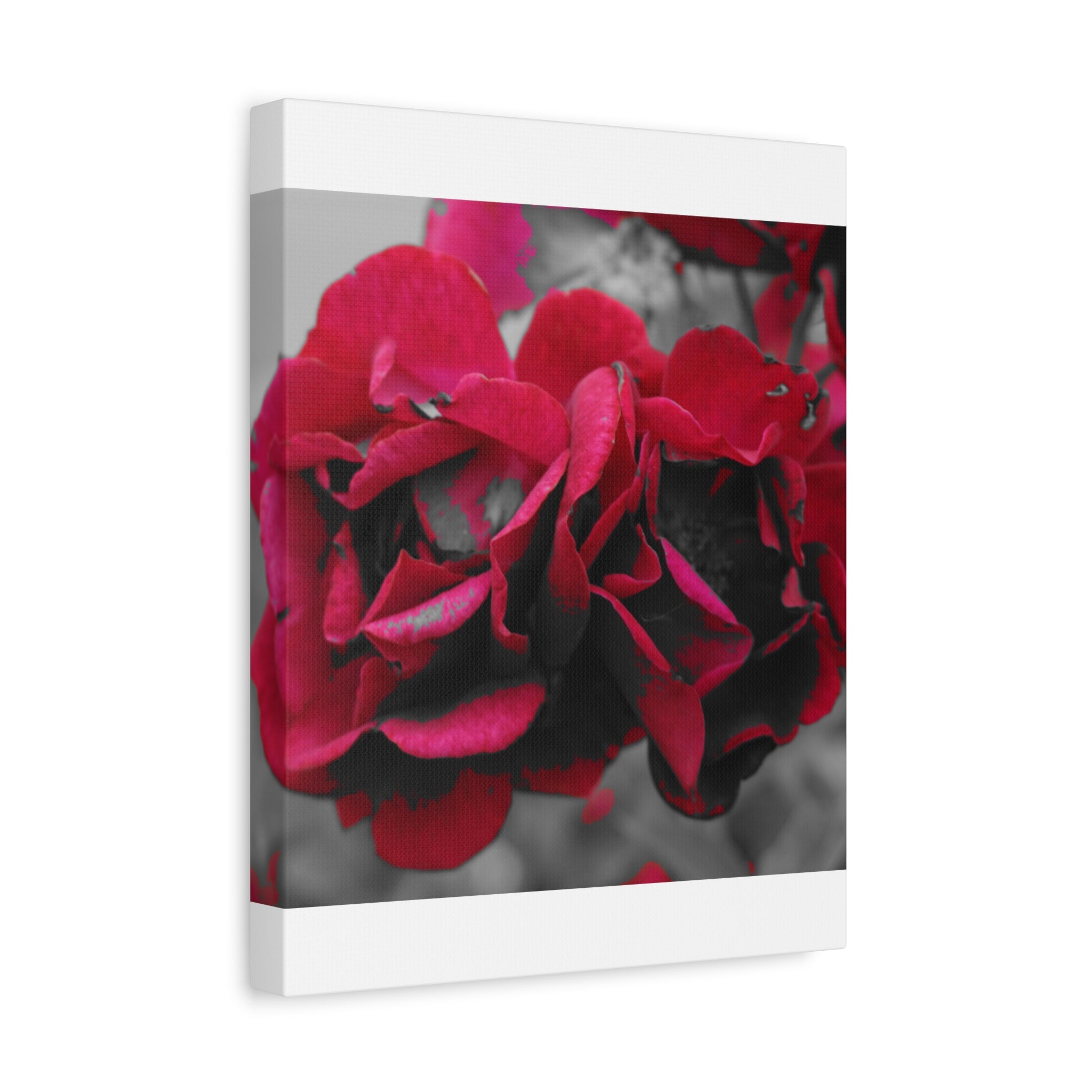 Red Rose Close-Up Matte Canvas Wall Art – Romantic Floral Stretched Canvas