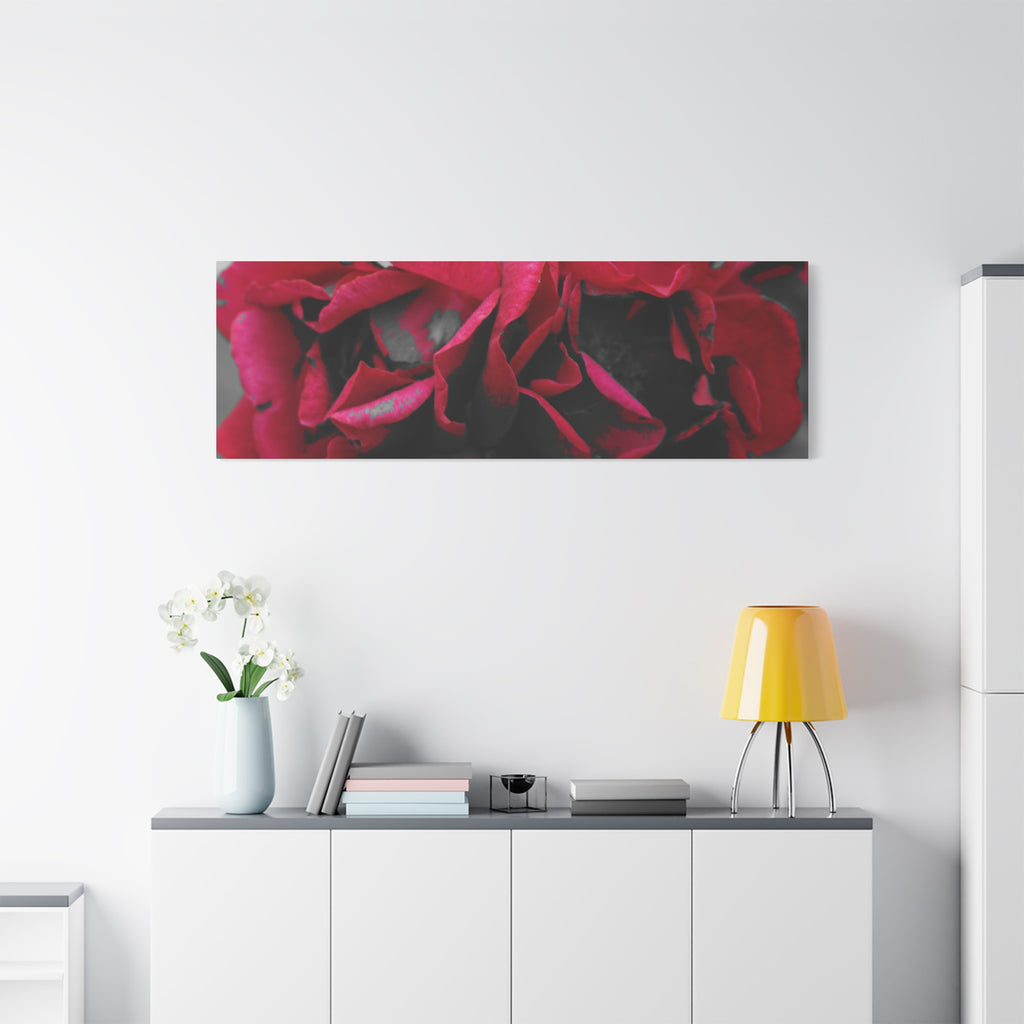 Red Rose Close-Up Matte Canvas Wall Art – Romantic Floral Stretched Canvas