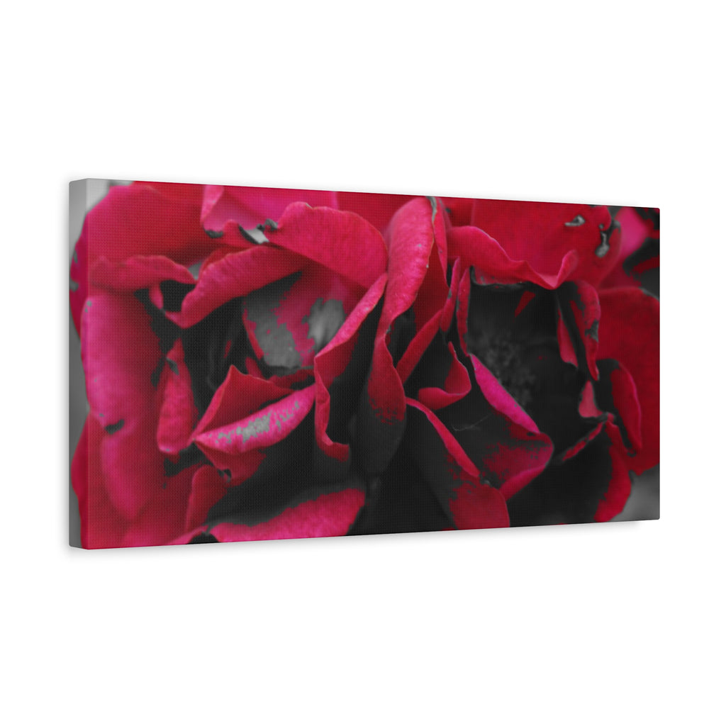 Red Rose Close-Up Matte Canvas Wall Art – Romantic Floral Stretched Canvas