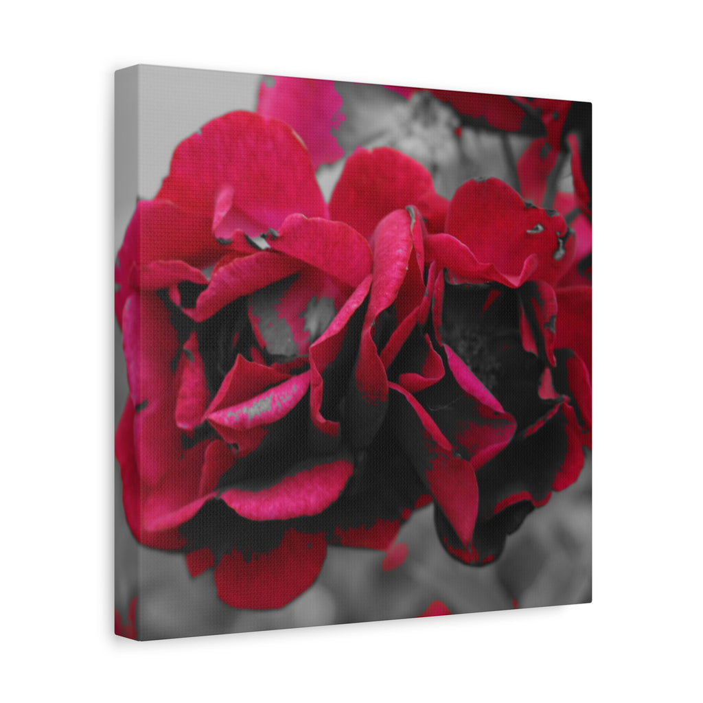 Red Rose Close-Up Matte Canvas Wall Art – Romantic Floral Stretched Canvas