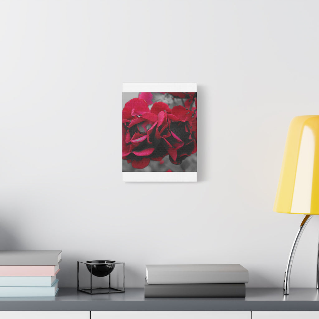 Red Rose Close-Up Matte Canvas Wall Art – Romantic Floral Stretched Canvas