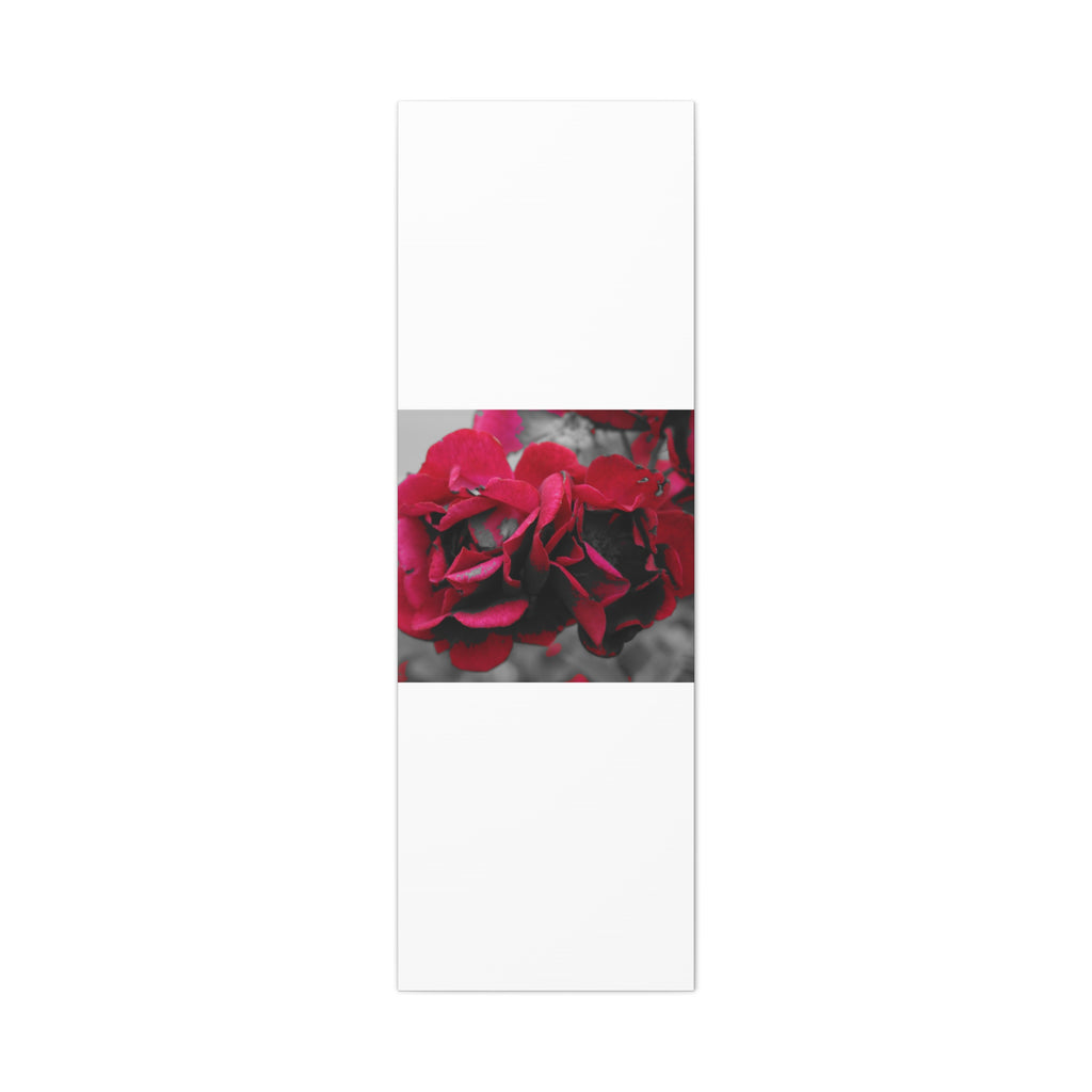 Red Rose Close-Up Matte Canvas Wall Art – Romantic Floral Stretched Canvas