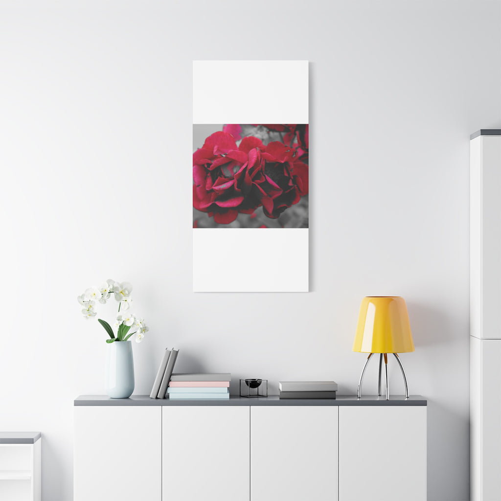Red Rose Close-Up Matte Canvas Wall Art – Romantic Floral Stretched Canvas