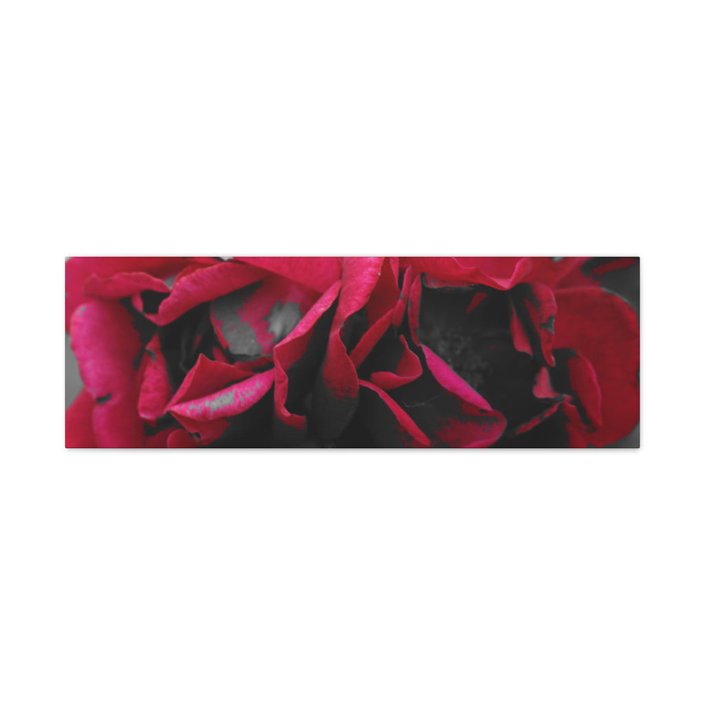Red Rose Close-Up Matte Canvas Wall Art – Romantic Floral Stretched Canvas
