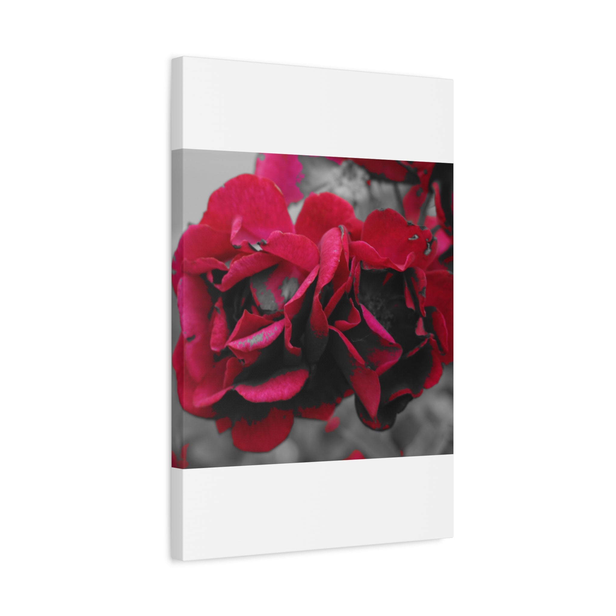 Red Rose Close-Up Matte Canvas Wall Art – Romantic Floral Stretched Canvas