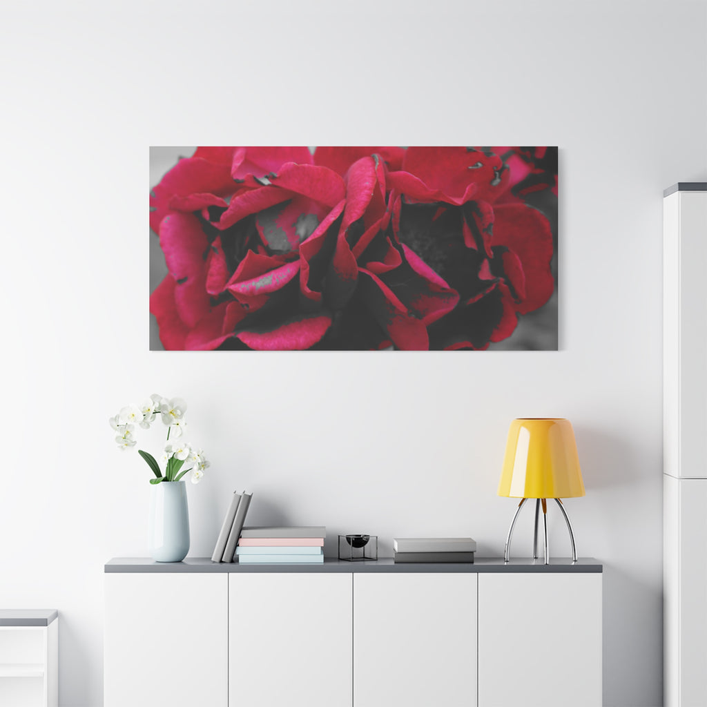 Red Rose Close-Up Matte Canvas Wall Art – Romantic Floral Stretched Canvas