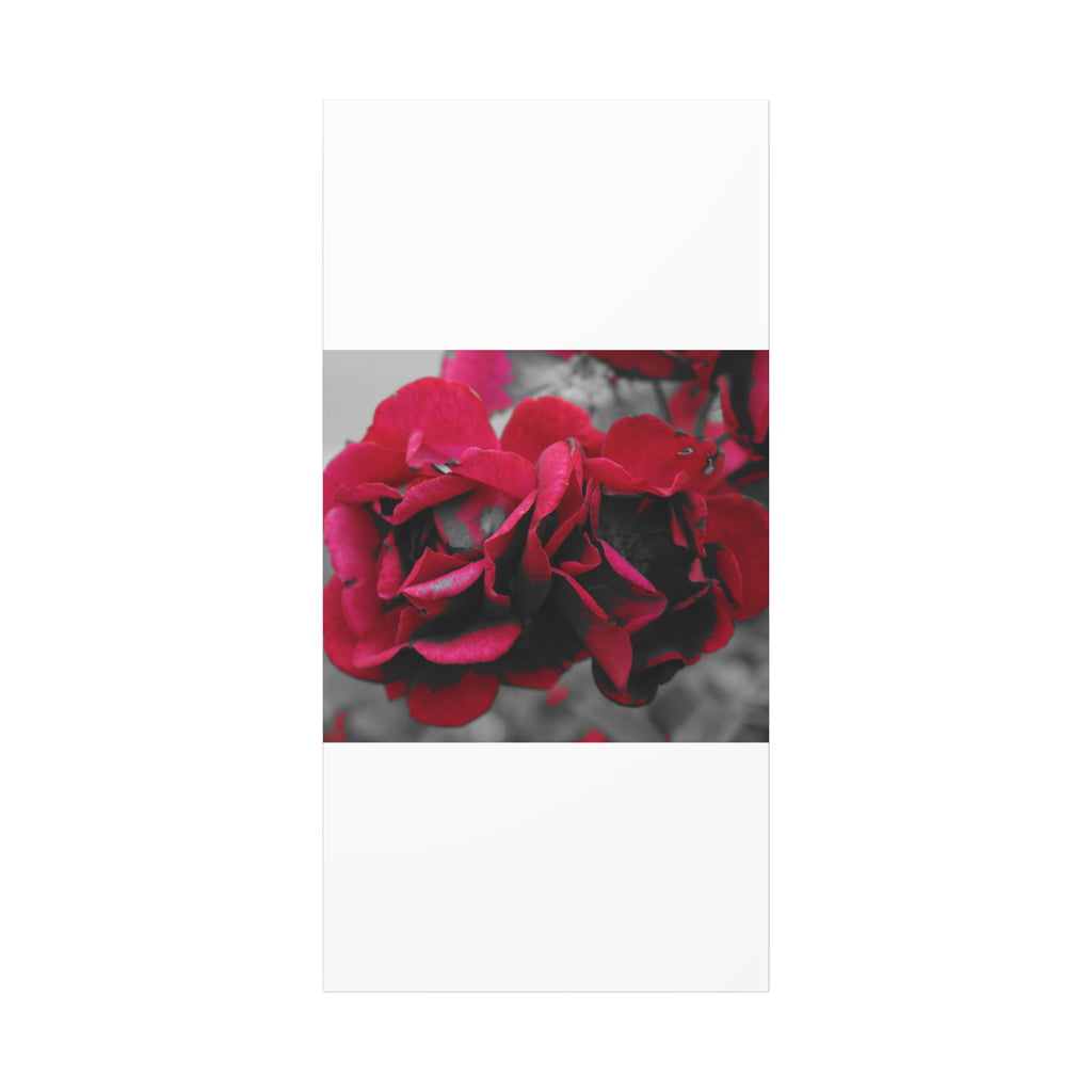 Red Rose Close-Up Matte Canvas Wall Art – Romantic Floral Stretched Canvas