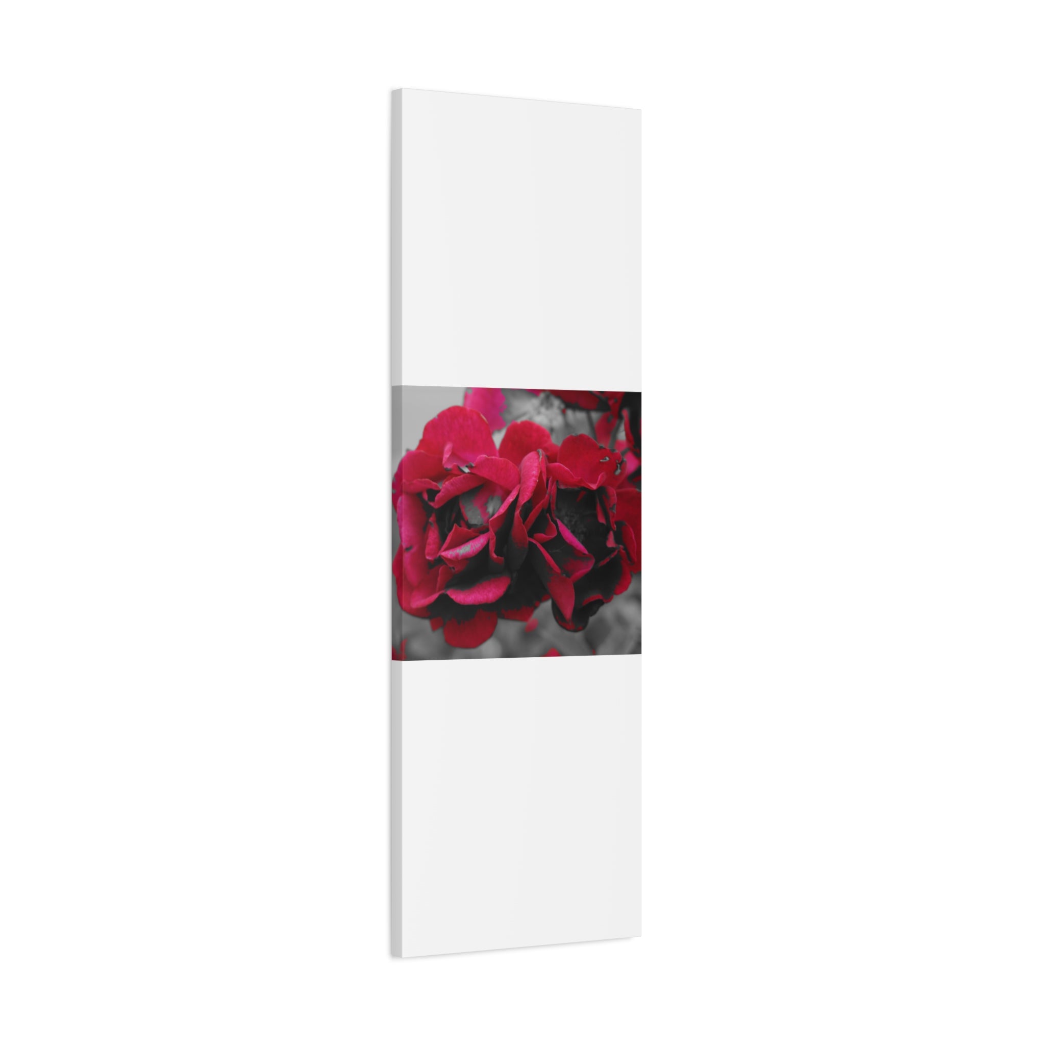 Red Rose Close-Up Matte Canvas Wall Art – Romantic Floral Stretched Canvas