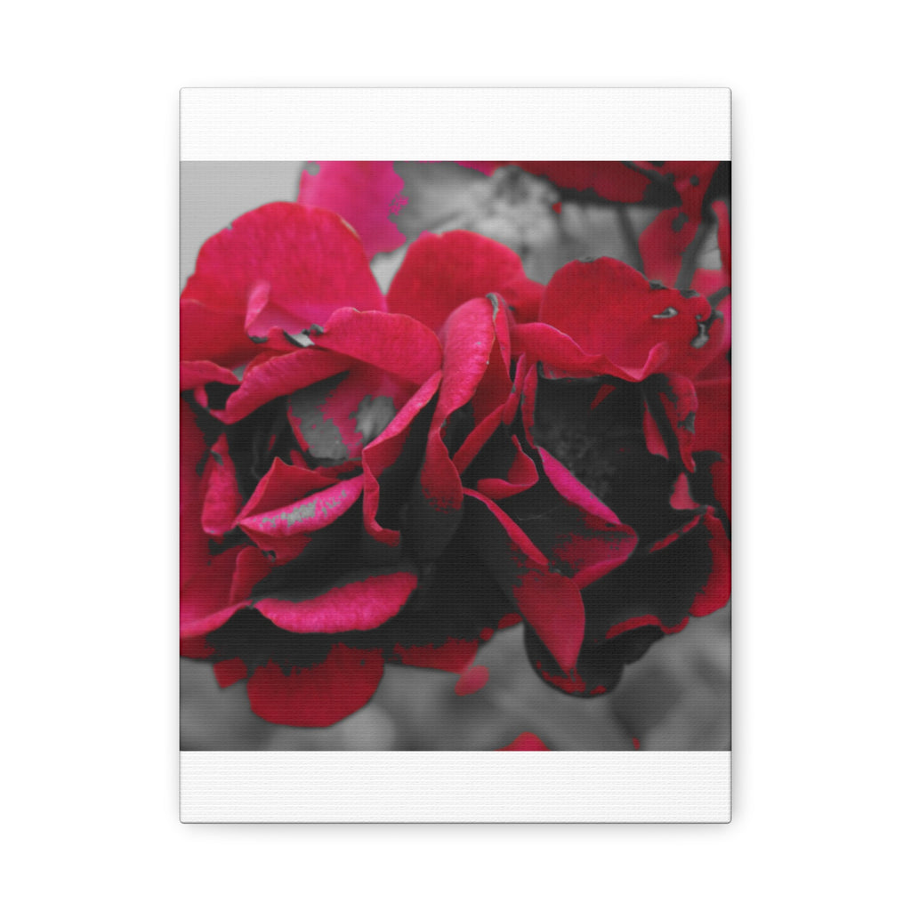 Red Rose Close-Up Matte Canvas Wall Art – Romantic Floral Stretched Canvas
