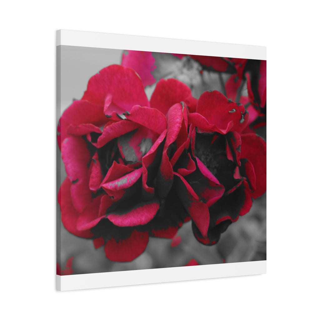 Red Rose Close-Up Matte Canvas Wall Art – Romantic Floral Stretched Canvas