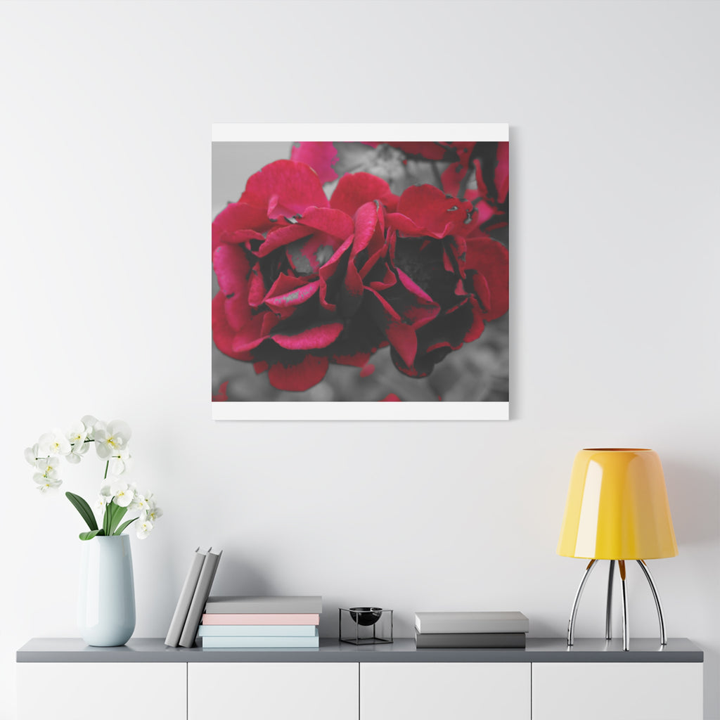 Red Rose Close-Up Matte Canvas Wall Art – Romantic Floral Stretched Canvas