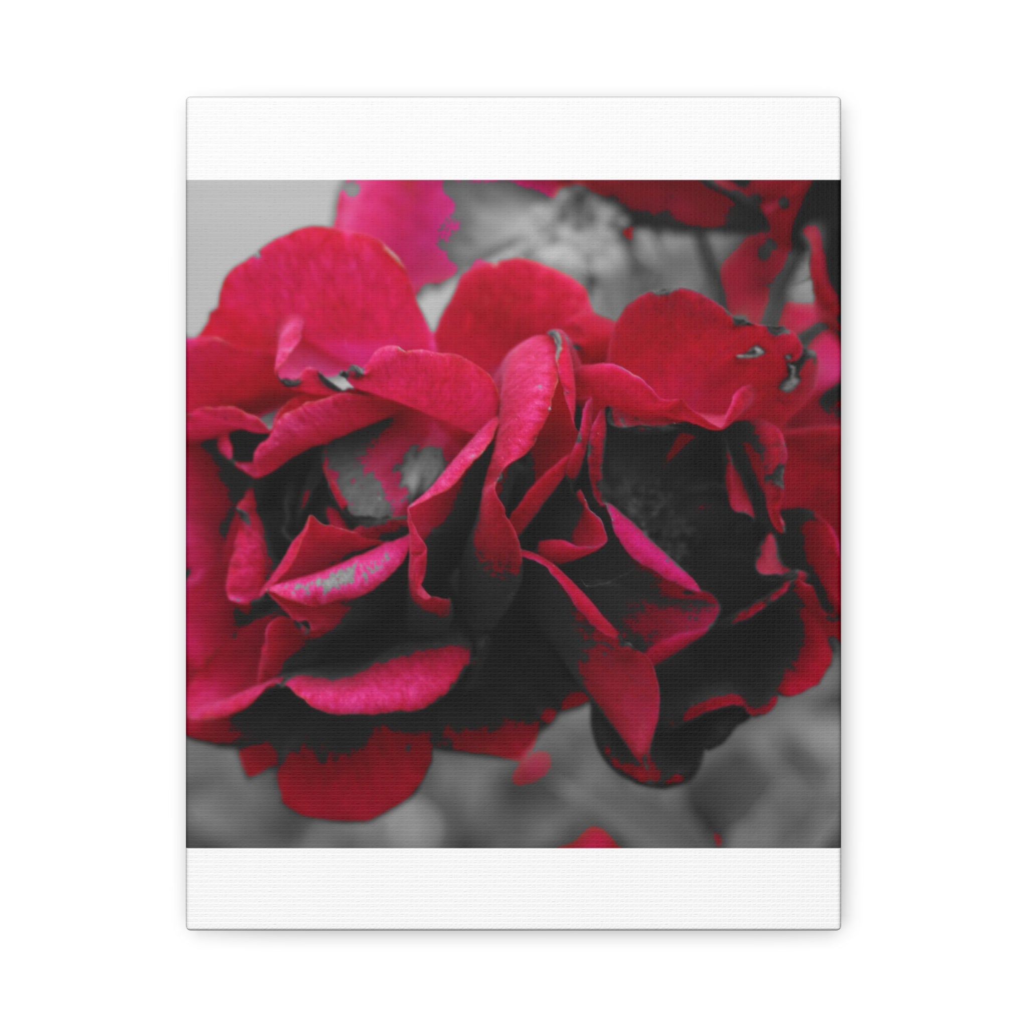 Red Rose Close-Up Matte Canvas Wall Art – Romantic Floral Stretched Canvas