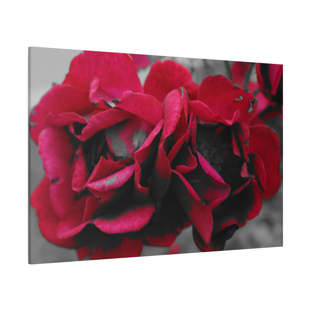 Red Rose Close-Up Matte Canvas Wall Art – Romantic Floral Stretched Canvas