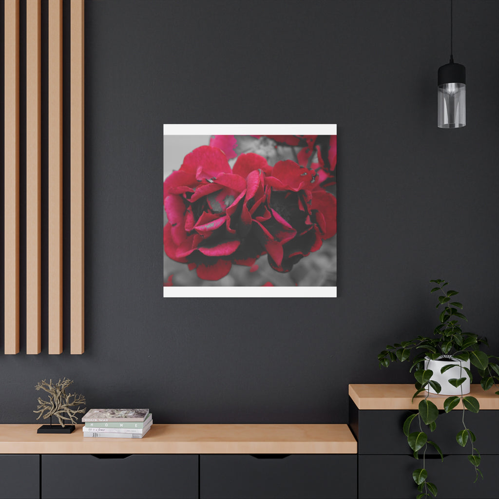 Red Rose Close-Up Matte Canvas Wall Art – Romantic Floral Stretched Canvas