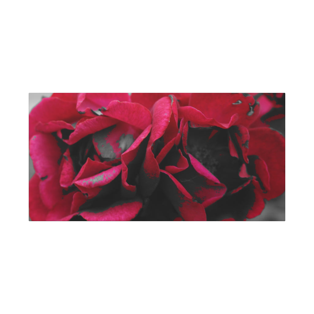 Red Rose Close-Up Matte Canvas Wall Art – Romantic Floral Stretched Canvas
