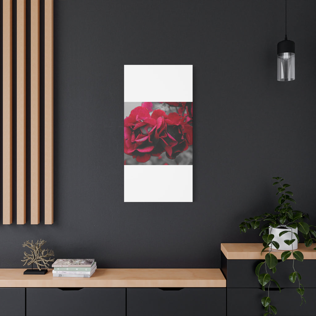 Red Rose Close-Up Matte Canvas Wall Art – Romantic Floral Stretched Canvas