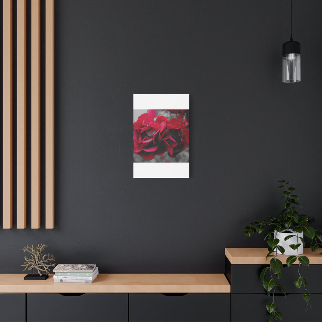 Red Rose Close-Up Matte Canvas Wall Art – Romantic Floral Stretched Canvas