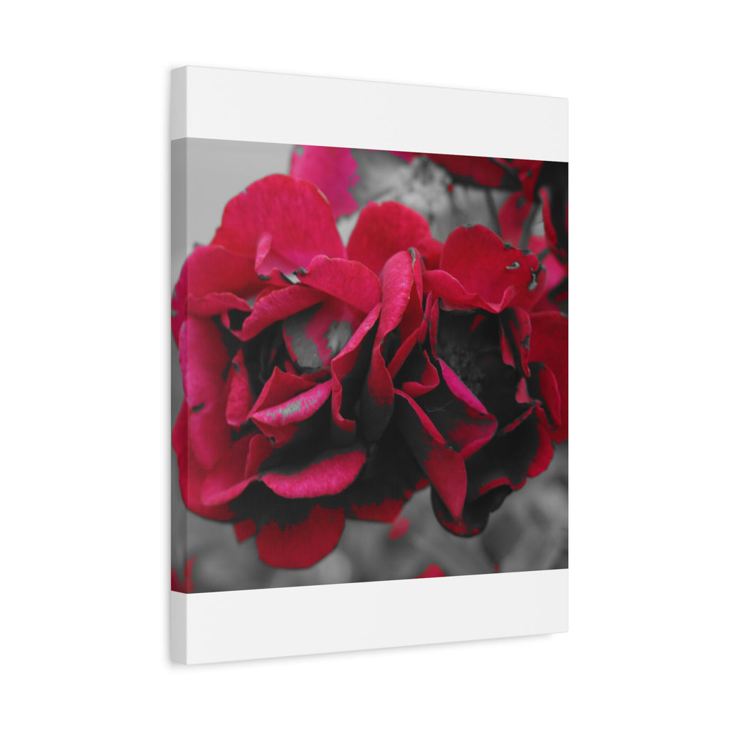 Red Rose Close-Up Matte Canvas Wall Art – Romantic Floral Stretched Canvas