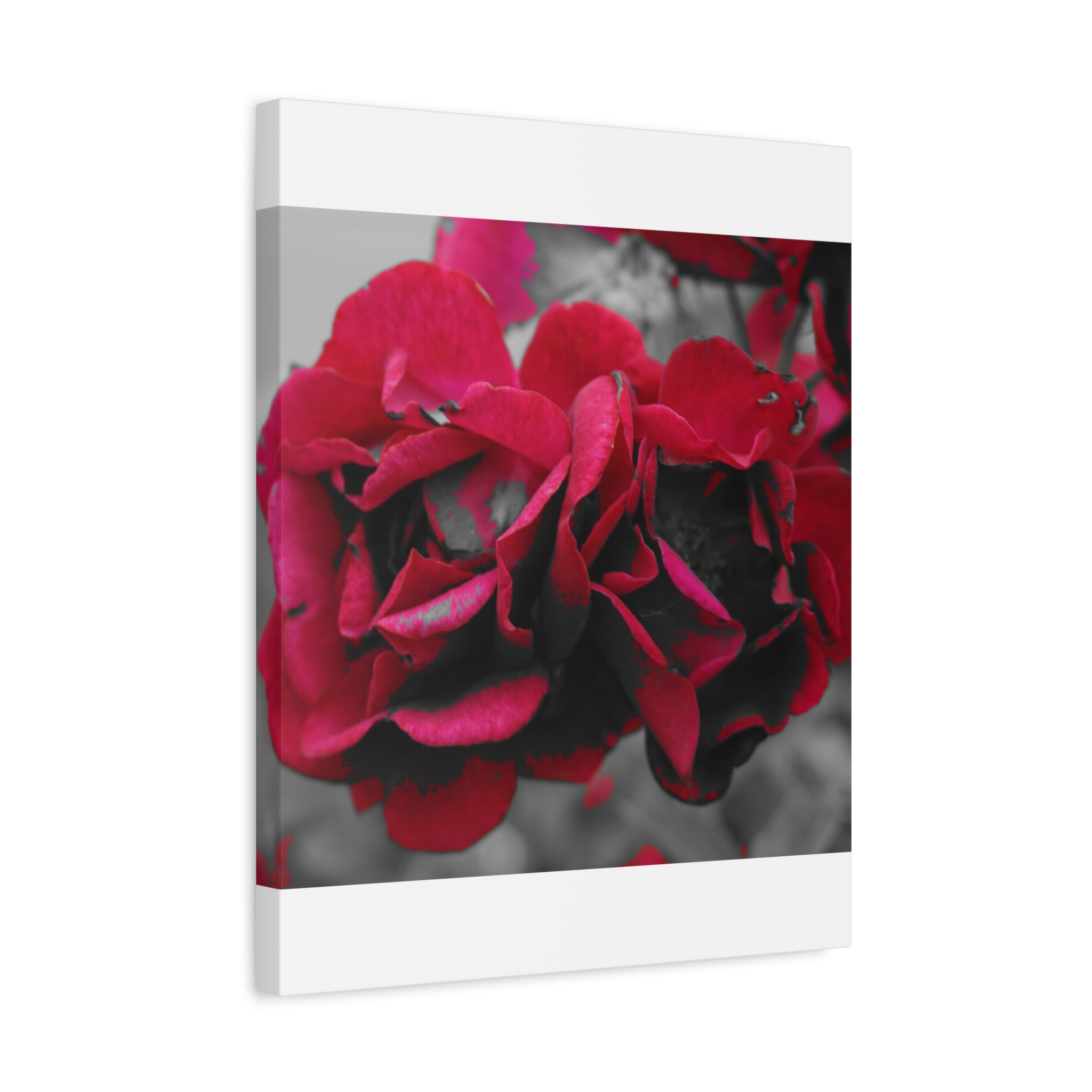 Red Rose Close-Up Matte Canvas Wall Art – Romantic Floral Stretched Canvas