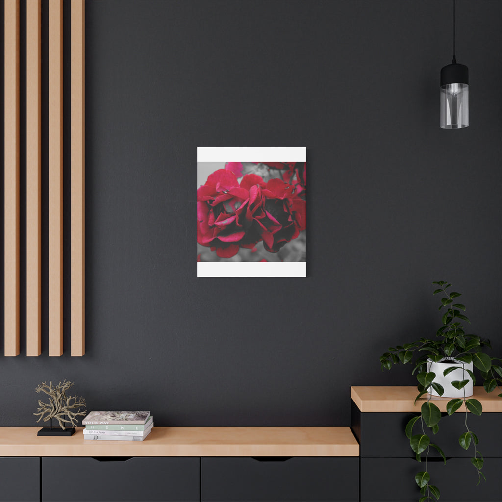 Red Rose Close-Up Matte Canvas Wall Art – Romantic Floral Stretched Canvas