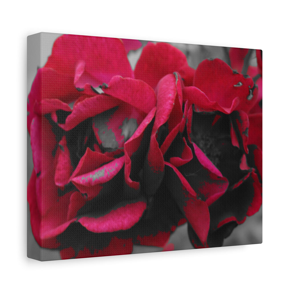 Red Rose Close-Up Matte Canvas Wall Art – Romantic Floral Stretched Canvas